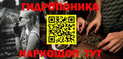 ECSTASY Ливны