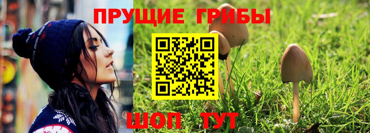 Камень-на-Оби  Галлюциногенные грибы Magic Shrooms  Вход с VPN 